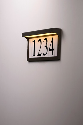Address LED Outdoor Wall Sconce (53610BZ)
