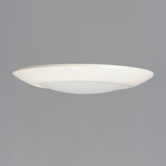 Diverse LED Flush Mount (57858WTWT)