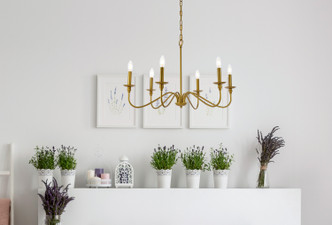 Rohan Six Light Chandelier (LD5056D30BR)
