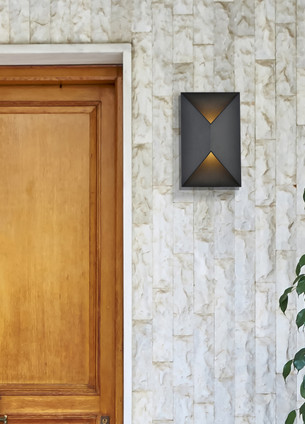 Raine LED Outdoor Wall Lamp (LDOD4022BK)