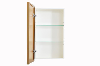 Wyn Medicine Cabinet (MR571728BRS)