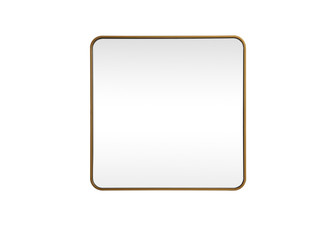 Elegant Lighting - MR803030BR - Mirror - Evermore - Brass