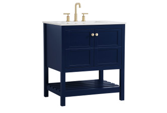 Theo Single Bathroom Vanity (VF16430BL)