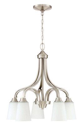manufacturer_finish:Brushed Polished Nickel|manufacturer_glass:White Frost