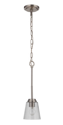 manufacturer_finish:Brushed Polished Nickel