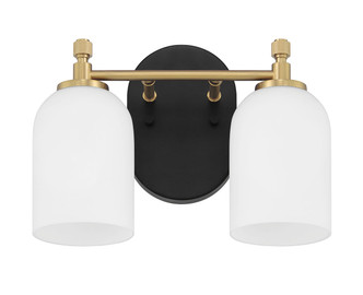Council Two Light Vanity (60302-FBSB)