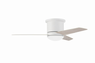 Cole 44 Indoor/Outdoor 44" Ceiling Fan (CLE44W3)