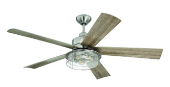 manufacturer_finish:Brushed Polished Nickel/Driftwood