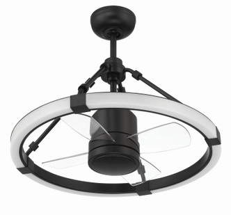 Levy 19" Ceiling Fan (LVY24FB4)