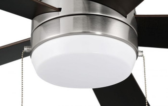manufacturer_finish:Brushed Polished Nickel/Black Walnut/Grey Walnut