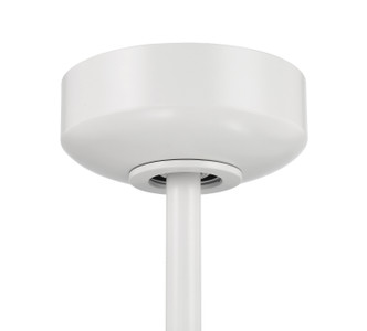 Nate 52" Ceiling Fan (NTE52W3)