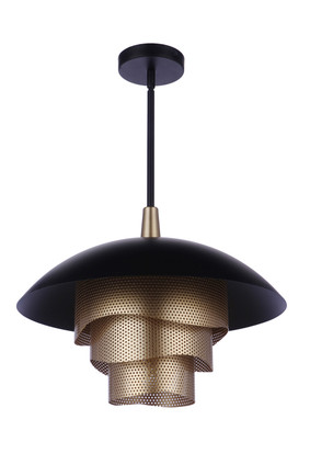 Sculptural Statement Pendants LED Pendant (P1010FBMG-LED)