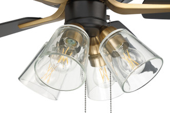 Pro Plus 104 52" Ceiling Fan (P104FBSB5-52BWNFB)