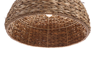 Pendant One Light Pendant (P2005-NT)