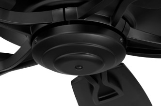 Santori 60 Indoor/Outdoor 60" Ceiling Fan (SNT60FB5)