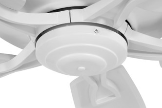 Santori 60 Indoor/Outdoor 60" Ceiling Fan (SNT60MWW5)