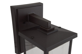 Resilience Lanterns One Light Outdoor Lantern (ZA2414-BZ-C)