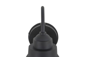 Resilience Lanterns One Light Outdoor Lantern (ZA6304PM-TB)