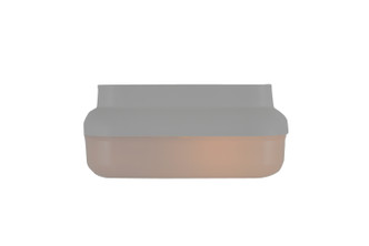 Resilience Lanterns Two Light Outdoor Flushmount (ZA6407-TW)