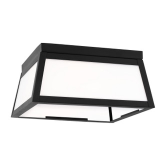 manufacturer_finish:Black|light_output:Unspecified|color_temperature:Unspecified|cri:Unspecified