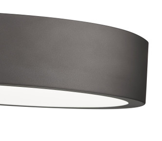 Coronado LED Flush Mount (1017F16-BRZ-LED)