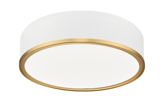 Bradley LED Flush Mount (1018F16-MW-MGLD-LED)