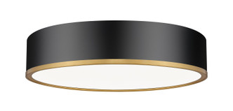 Z-Lite - 1018F20-MB-MGLD-LED - LED Flush Mount - Bradley - Matte Black + Modern Gold Z-Lite - 1018F20-MB-MGLD-LED - LED Flush Mount - Bradley - Matte Black + Modern Gold