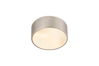 Harley Two Light Flush Mount (2302F2-BN)