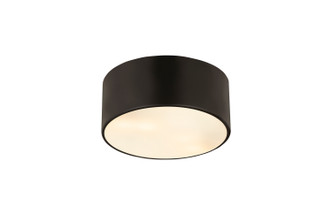 Harley Two Light Flush Mount (2302F2-MB)