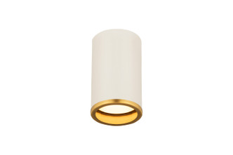 Arlo One Light Flush Mount (2303F1-MW-RB)