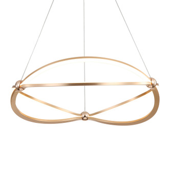 Golden - 7916-24 AGL - LED Chandelier - Spirale - Anodized Gold