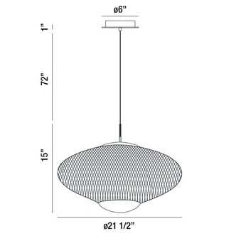 Park LED Pendant (37107-017)