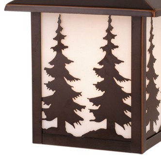 Yosemite One Light Outdoor Wall Mount (OW33483BBZ)