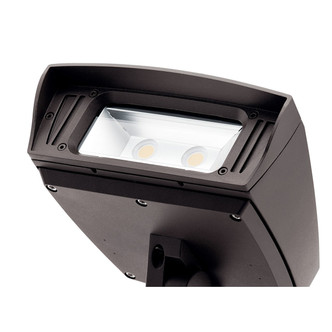 Landscape Led LED Landscape Flood (16223AZT30)