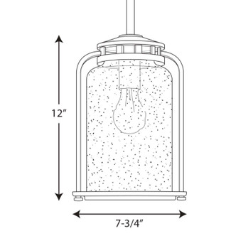 Botta One Light Hanging Lantern (P5561-20)