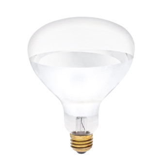 Westinghouse Lighting - 0391600 - Light Bulb - Light Bulb - Clear