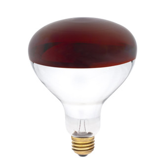 Westinghouse Lighting - 0391700 - Light Bulb - Light Bulb - Red