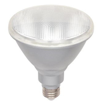 Light Bulb (5007100) Light Bulb (5007100)