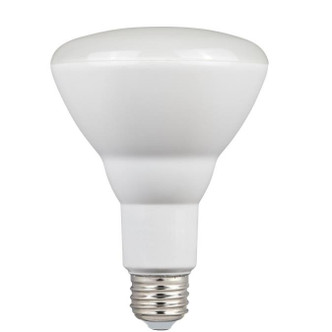 Westinghouse Lighting - 5221000 - Light Bulb - Frost