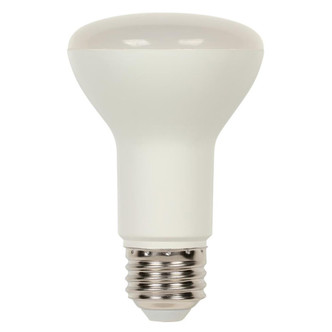 Westinghouse Lighting - 5305000 - Light Bulb - Frost