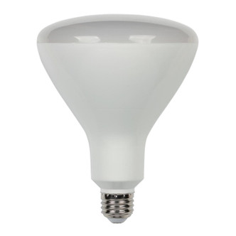 Westinghouse Lighting - 5306400 - Light Bulb - Frost