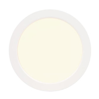 LED Flush Mount (6111900) LED Flush Mount (6111900)