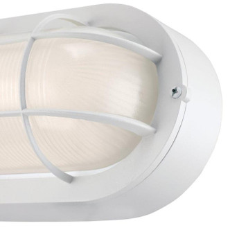 LED Wall Fixture (6113600)