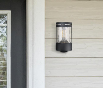 Mosley One Light Wall Fixture (6114600) Mosley One Light Wall Fixture (6114600)