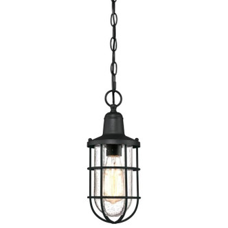 Westinghouse Lighting - 6334800 - One Light Pendant - Crestview - Textured Black