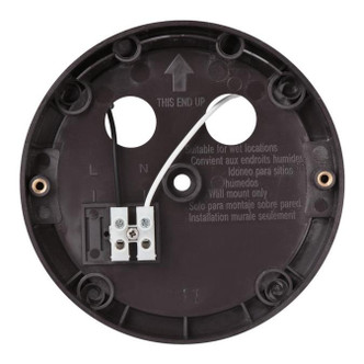 LED Security Light Wall Fixture w/Motion Sensor (6364300)