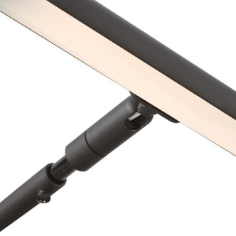 LED Picture Light (7500900)