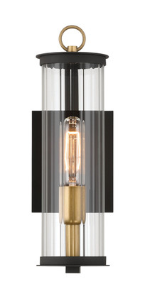 Cara One Light Outdoor Wall Sconce (79000-734)