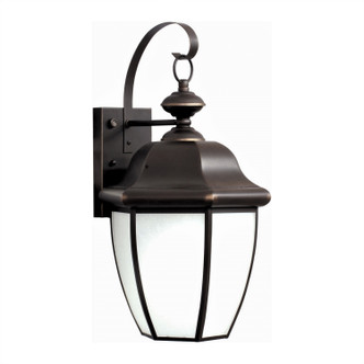 Forte - 10004-01-14 - One Light Outdoor Lantern - Royal Bronze