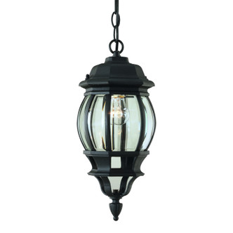 Forte - 1702-01-04 - One Light Outdoor Pendent - Black
